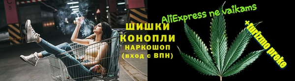 крисы Алзамай