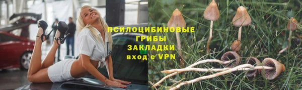 спиды Алексин