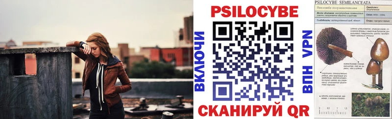Галлюциногенные грибы Psilocybe  Кедровый 
